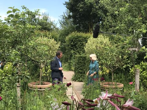 camilla, duchess of cornwall being interviewed about her garden during an appearance on bbc program gardeners' world
