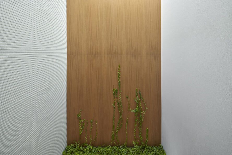A wood panel in a white wall, with greenery climbing up the wall.